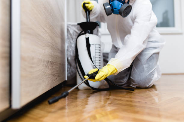 Best Emergency Pest Control  in Breckenridge, TX