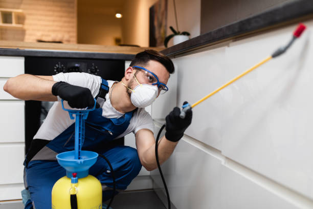 Best Local Pest Control Services  in Breckenridge, TX