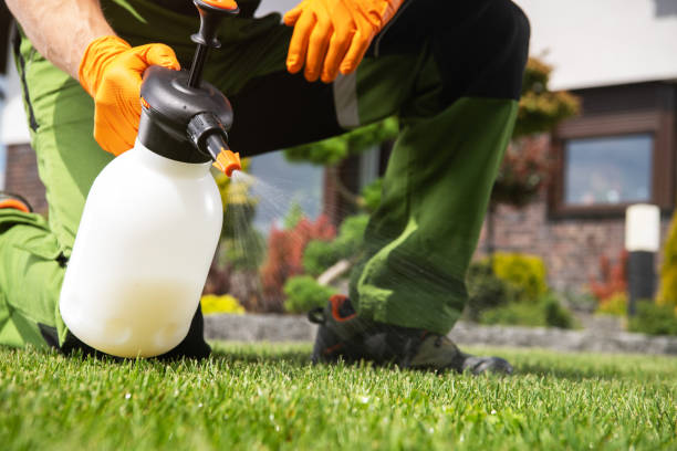 Best Rodent Control Near Me  in Breckenridge, TX