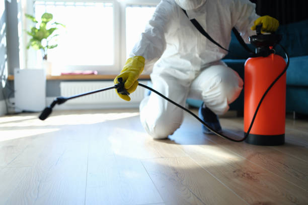 Professional Pest Control in Breckenridge, TX