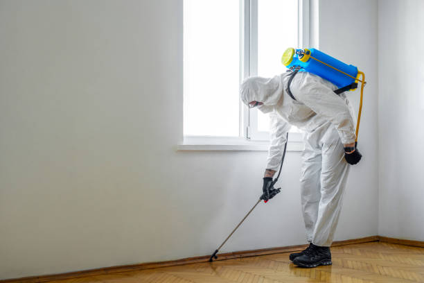 Best Mosquito Control Services  in Breckenridge, TX