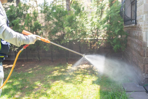 Professional Pest Control in Breckenridge, TX
