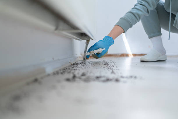 Best Affordable Pest Control Services  in Breckenridge, TX