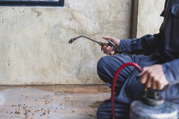 Best Flea Control Services  in Breckenridge, TX